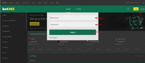 bet365 apostas desportivas online https www bet365 com 
