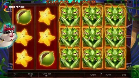 bet365 velocity 