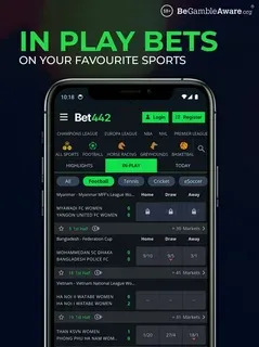 fortune ox melhor horário 