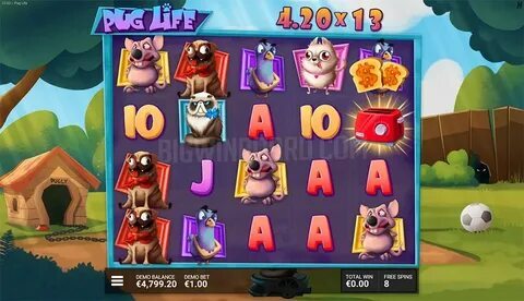 fortune rabbit 2 bet 