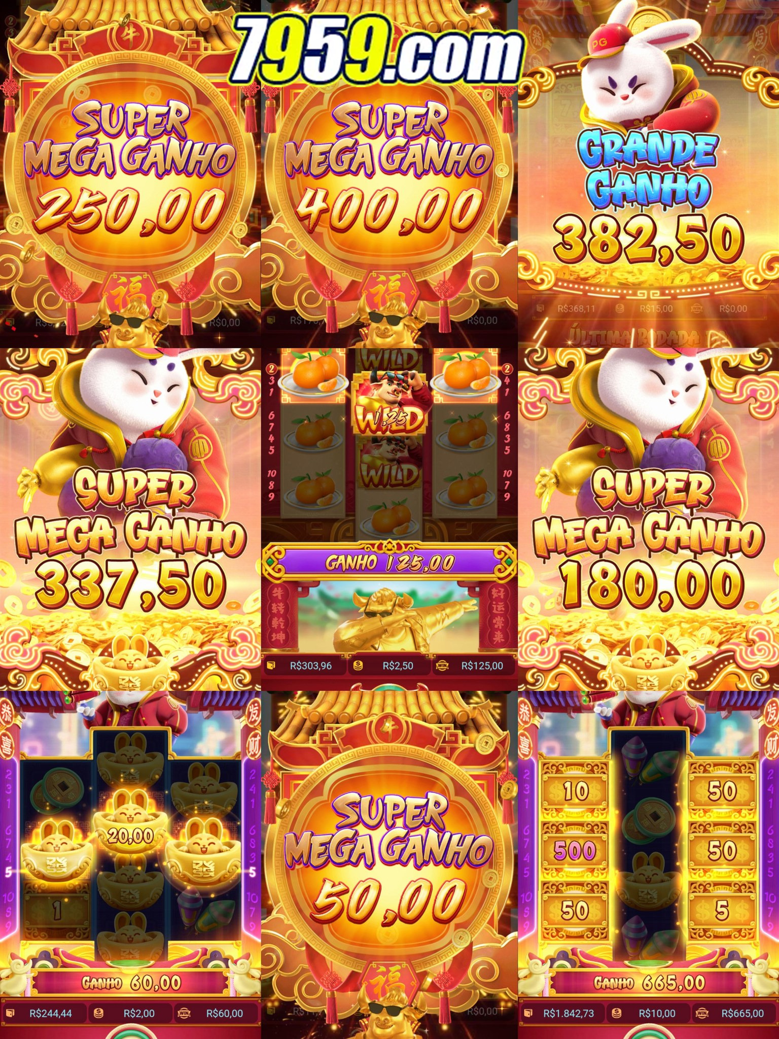 jogo do bicho online como funciona 