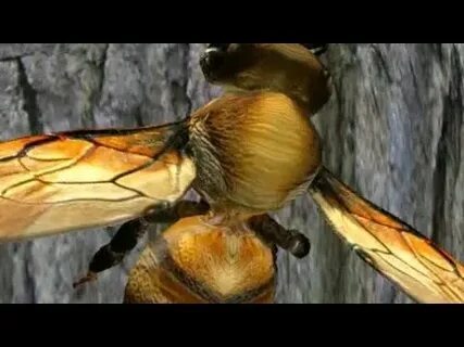 resultado das 14 horas jogo do bicho 